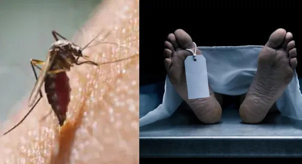 जम्मू: सांबा में डेंगू से दूसरी मौत का दावा, 35 वर्षीय महिला ने AIIMS में तोड़ा दम; इलाके में दहशत
