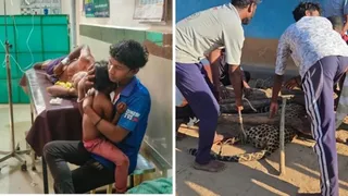 छत्तीसगढ़ में चार वर्षीय बेटी के लिए तेंदुए से भिड़ा पिता (फोटो- जेएनएन)