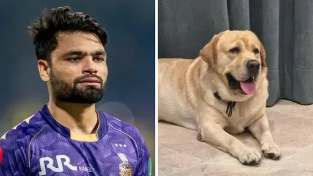क्रिकेटर रिंकू सिंह का लापता कुत्ता ब्रूडो अलीगढ़ में मिला, परिवार में खुशी की लहर