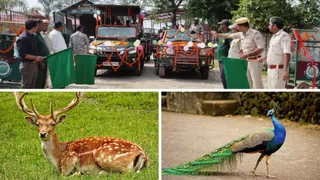 हरी झंडी दिखाकर पर्यटकों को रवाना करते रेंजर।