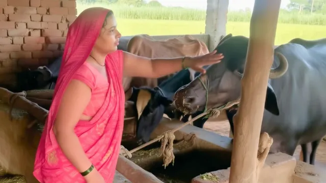 बस्ती की प्रियंका ने हुनर के दम पर बदली तकदीर, अब हर महीने ‘धनवर्षा’ का जरिया बना खुद का कारोबार
