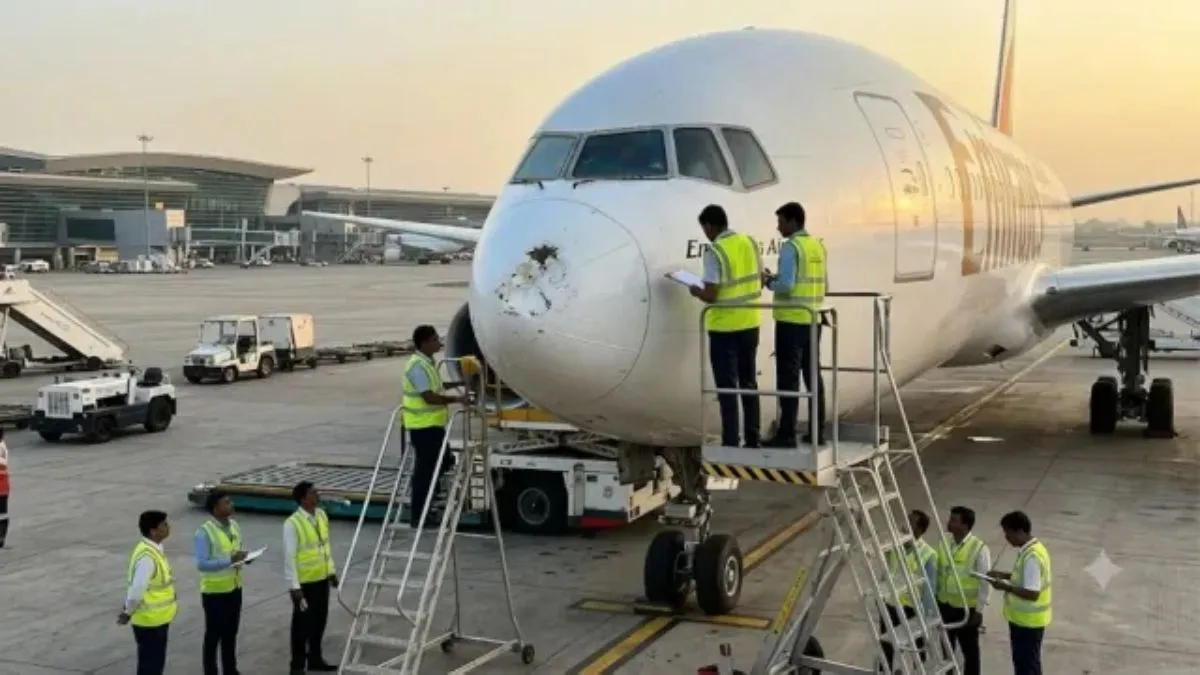 birdhit-case-igi-airport1