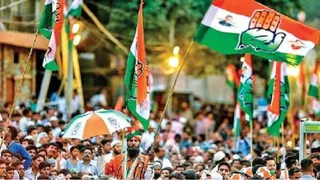 पार्टी के सभी वरिष्ठ नेताओं, विधायकों, सांसदों के साथ-साथ पूर्व विधायकों और पूर्व सांसदों को भी मैदान में उतारा जाएगा।