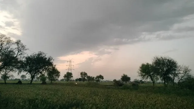 Haryana Weather: हरियाणा में अब बदलेगा मौसम, सुबह-शाम बढ़ेगी ठंड; जानें अगले 5 दिनों का हाल
