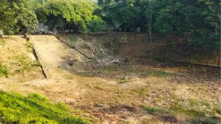 भागलपुर का तालाब। फोटो जागरण
