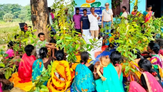 औषधीय फसलों की खेती से खुलेगा आमदनी का रास्ता, आदिवासी महिलाओं के लिए पूसा कृषि विश्वविद्यालय की पहल
