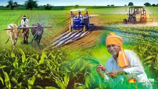 सांकेतिक तस्वीर