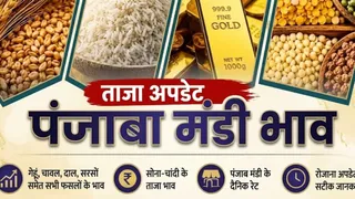ये प्रतीकात्मक तस्वीर है।