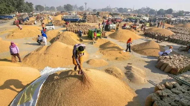 झज्जर मंडी में हाथ से निकले धान की बोली 4500 रुपये प्रति क्विंटल तक पहुंची, अब तक का सबसे ऊंचा भाव
