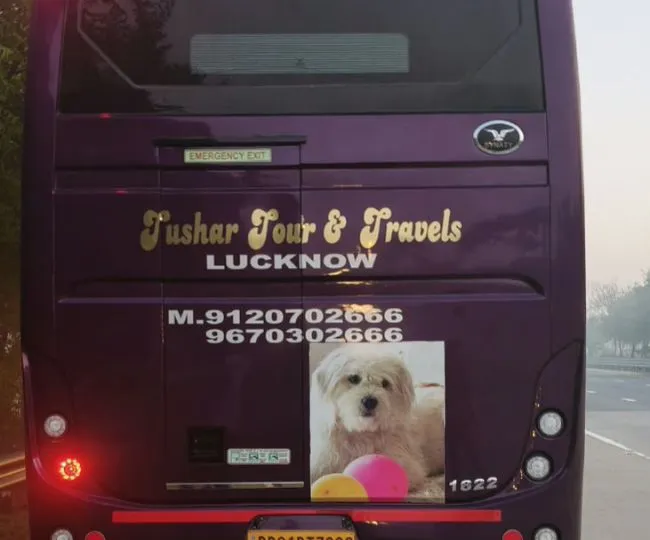 mathura bus small