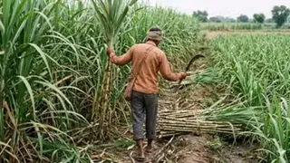 किसान संगठनों ने मांगी एफआरपी की गारंटी