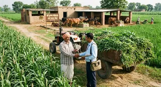 यह तस्वीर AI जेनेरेटेड है