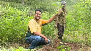 अल्मोड़ा के नौगांव में डाॅ. नीरज का शहतूत के पौधों के बीच मिश्रित खेती का प्रयोग रंग ला रहा है। जागरण