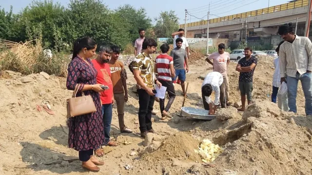 रोहतक में त्योहारों पर चल रहा था मिलावटखोरी का खेल, 80 किलो नकली मावा जब्त; दुकान सील
