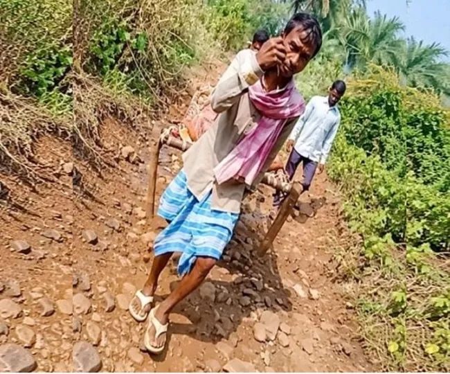Sahibganj Helth System