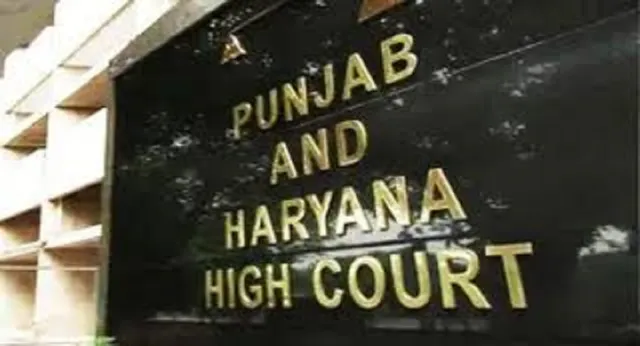138 अंकों के बावजूद नियुक्ति क्यों नहीं? पंजाबी टीचर भर्ती मामले में हाईकोर्ट ने मांगा अंतिम फैसला