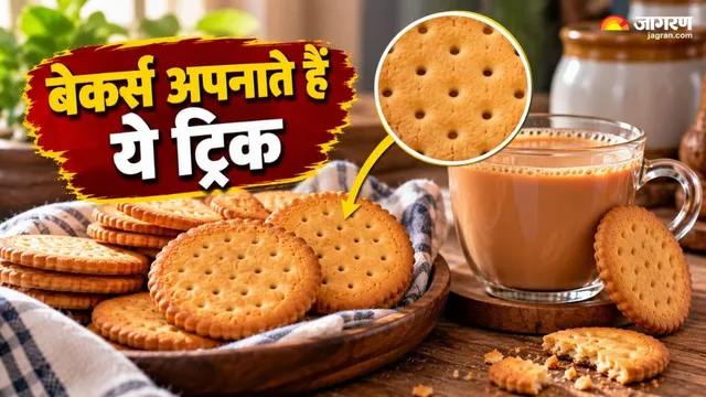चाय में डुबोने से पहले कभी सोचा है आखिर बिस्किट में क्यों होते हैं छेद? 90% लोगों को नहीं मालूम होगा जवाब