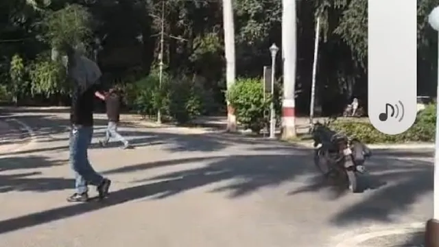 मेरठ के सर्किट हाउस में मधुमक्खियों के हमले में 20 घायल; ऐसा हाेते ही सबसे पहले क्या करने को कहते हैं डॉक्टर?