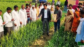 जरूरत से ज्यादा रासायनिक खादों के प्रयोग से न केवल खेती की लागत बढ़ती है।