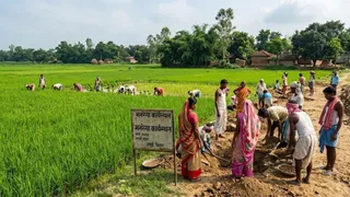 Bihar MNREGA News: जमुई में कृषि विभाग और ग्रामीण विकास विभाग के आंकड़ों में भारी विरोधाभास