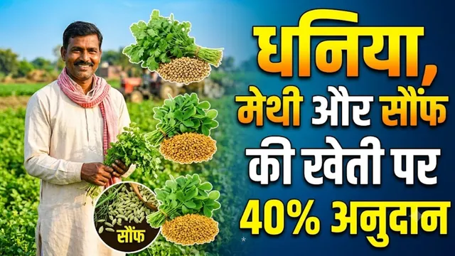 मसाला खेती से चमकेगी समस्तीपुर के किसानों की किस्मत, धनिया-मेथी और सौंफ पर 40% की बंपर सब्सिडी
