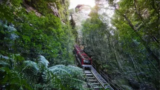 दुनिया की सबसे स्टीप रेलवे (Picture Courtesy: Scenic World)