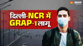 प्रदूषण से निपटने के लिए सरकार का एक्शन प्लान