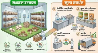 यह तस्वीर AI द्वारा बनाई गई है।