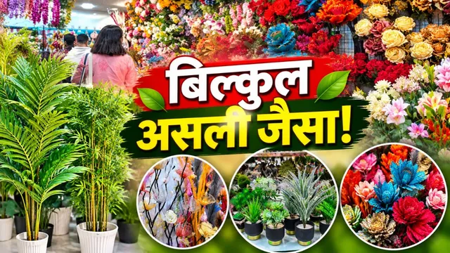 मेरठ में आर्टिफिशियल फूल-पौधे बने सजावट का नया ट्रेंड, त्योहारों पर खूब हो रही खरीदारी

