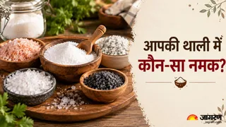 आयोडीन के लिए कौन सा नमक बेहतर: सफेद, गुलाबी या सेंधा नमक? (Picture Credit- AI Generated)