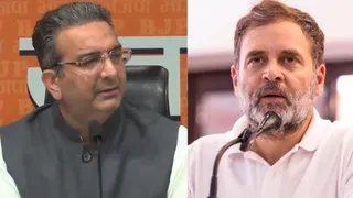 बीजेपी ने राहुल गांधी पर लगाया अराजकता फैलाने का आरोप। (फाइल फोटो।)