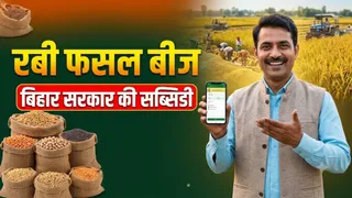 रबी फसल की बुआई से पहले बिहार सरकार का तोहफा, बीजों पर 65% की सब्सिडी (AI Generated Image)