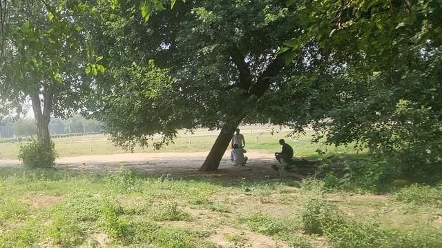 सुरक्षा के दावों की खुली पोल, दिल्ली के पार्कों में बढ़ रही दुष्कर्म और हत्या जैसी जघन्य वारदातें; चौंका देंगे आंकड़े
