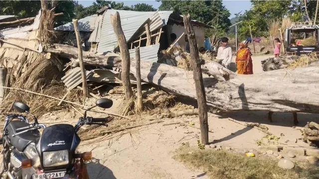 पश्चिमी चंपारण के भिखनाठोरी में घर पर सूखा पेड़ गिरा, एक ही परिवार के चार लोग घायल