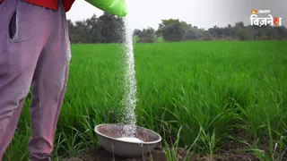 उर्वरकों की कीमत में फिर बदलाव