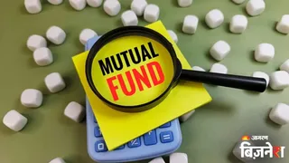 इस म्यूचुअल फंड ने बिखेरा जलवा! 6 साल में दिया 20% से ज्यादा रिटर्न, ₹1 लाख लगाए होते तो कितने हो गए होते?