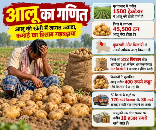Potato Farming Cost Infographic in Hindi