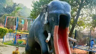 प्रयागराज का सुमित्रानंदन पंत हाथी पार्क। जागरण
