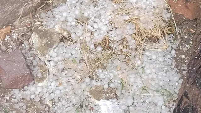 रेवाड़ी में अचानक बदला मौसम का मिजाज, कई गांवों में बारिश के साथ ओलावृष्टि, 3 डिग्री तक लुढ़का पारा
