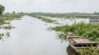 एआई द्वारा जेनरेट इमेज।