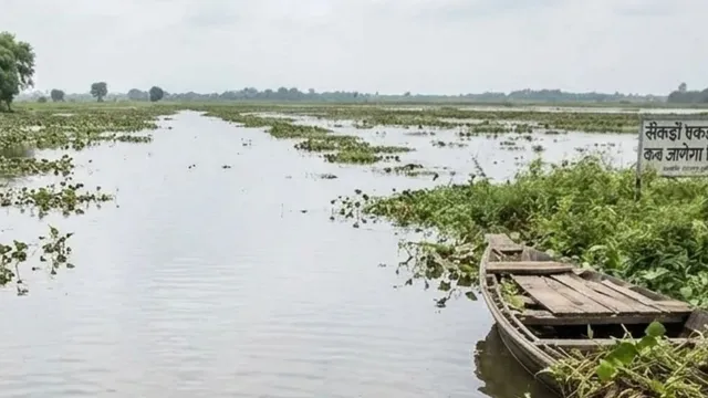 सुपौल में पानी के बीच छिपी है मखाने से कमाई की राह, फिर भी सैकड़ों एकड़ जमीन बेकार, आखिर कब जागेगा विभाग
