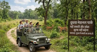 यह तस्वीर AI द्वारा बनाई गई है।