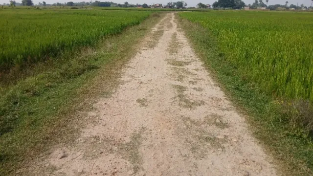 मुंगेर में सड़क के नाम पर सिर्फ बिछा दिए गए पत्थर, अधूरा निर्माण छोड़ ठेकेदार गायब
