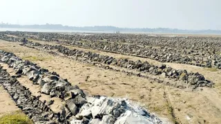 गंगानगर गांव के नजदीक गंगा की रेती पर पालेज लगाने को ग्रामीणों द्वारा तैयार की गई जमीन । जागरण