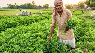 प्रतीकात्मक प्रस्तुतीकरण के लिए तस्वीर को एआई टूल की मदद से बनाया गया है।
