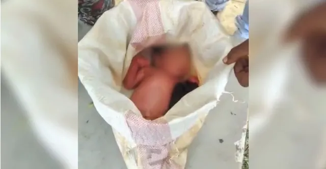 दुनिया में आंखें खोलीं तो न गोद मिली, न आंचल, कानपुर देहात में पेड़ पर लटकी बोरी में मिला नवजात