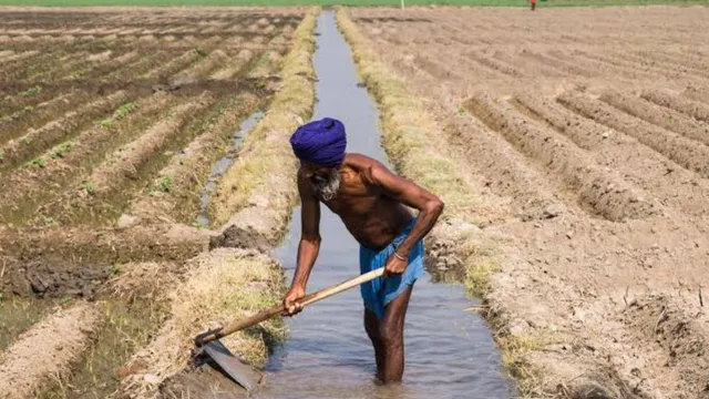 रबी सिंचाई के लिए 15 नवंबर से नहरों में छोड़ा जाए पानी, बाराबंकी में किसानों ने की मांग
