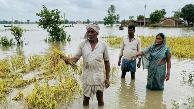देवरिया में बाढ़ से चौपट हुई किसानों की मेहनत, लागत निकालना भी मुश्किल
