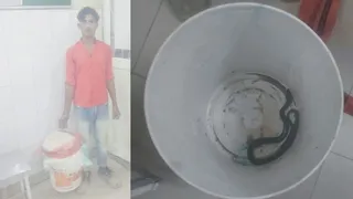 बाल्टी के भीतर से फन उठाकर घूमते सांप पर डॉक्टरों की नजर पड़ी, उनके होश फाख्ता हो गए। जागरण