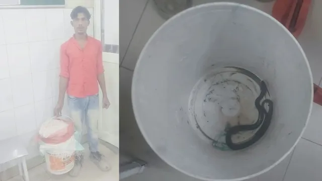 'डाॅ. साहब इस सांप ने मुझे काटा है...', अस्पताल में सांप लेकर घुसा युवक; एंटी-स्नेक वेनम लेने से किया इंकार